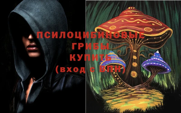 гидропоника Кулебаки